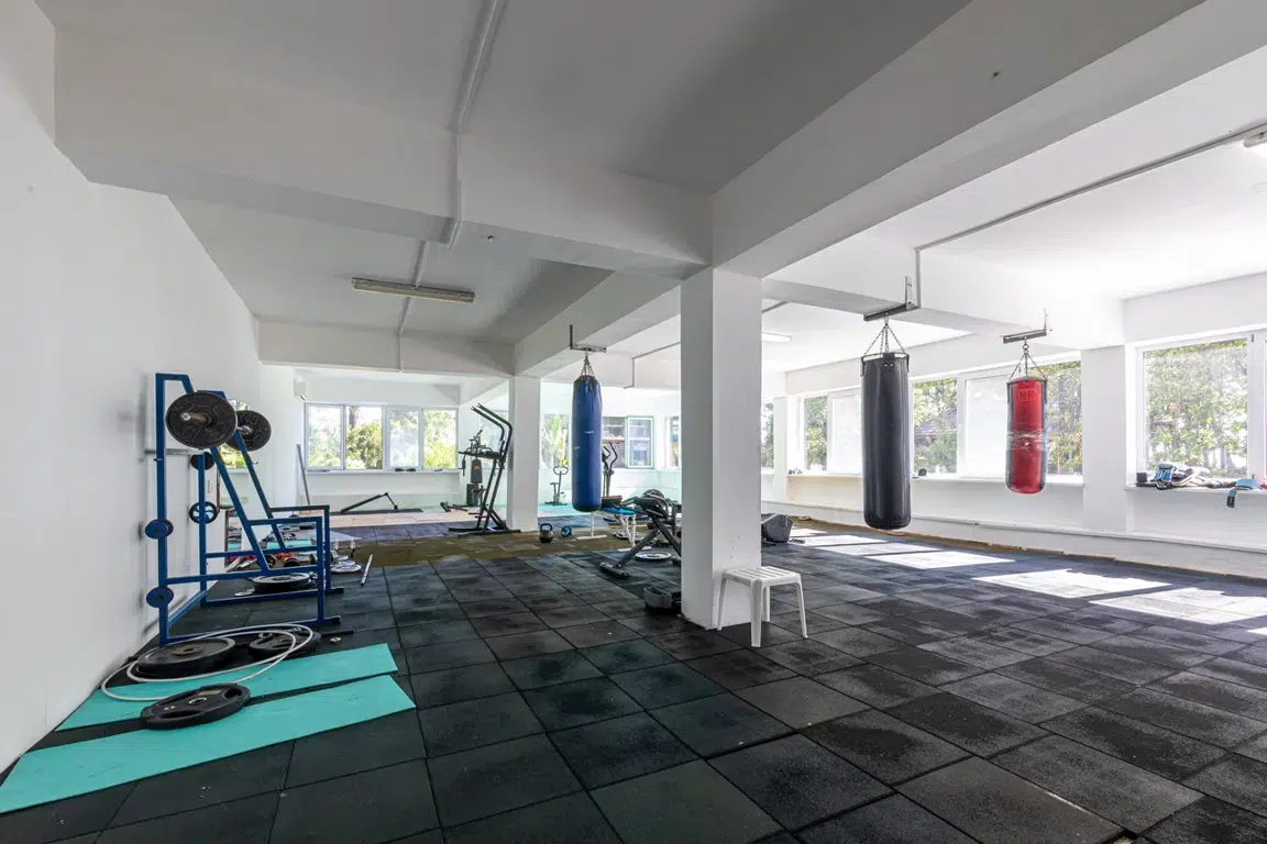 Gallery image