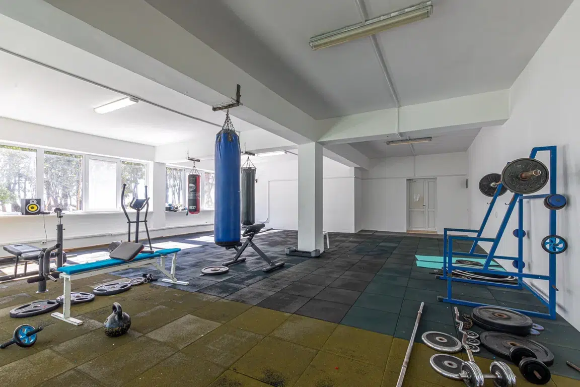 Gallery image